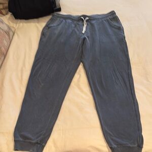 Men's marine layer Blue Jogger Pants